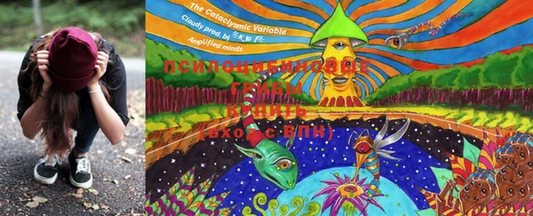 ECSTASY Нефтегорск