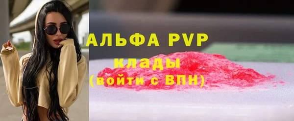хмурый Нея