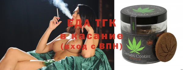 хмурый Нея