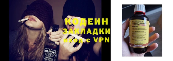 хмурый Нея