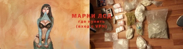 гашик Нефтекумск