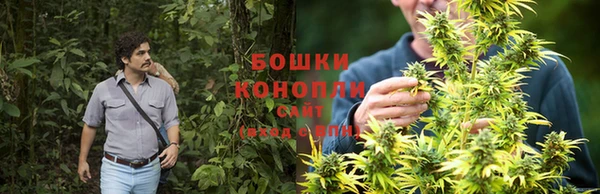 гашик Нефтекумск