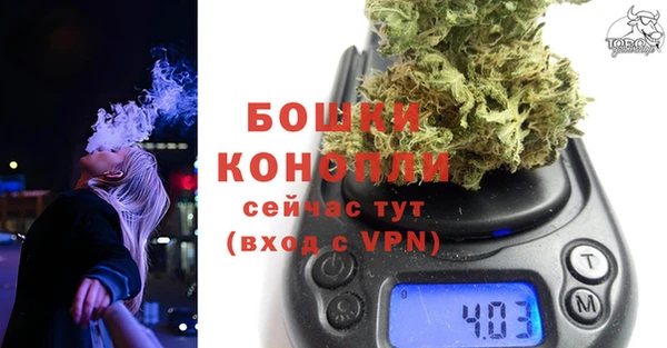 гашик Нефтекумск